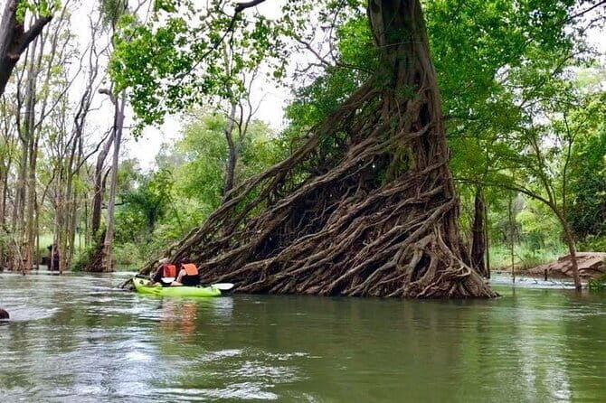 Full Day Tour from Siem Reap - Bamboo Train, Killing Cave & Sunset - Battambang Bat Caves at Sunset: The Timing Is the Whole Point