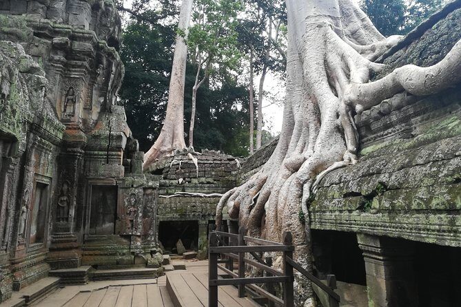 Half Day Angkor Wat Sunrise Private Tour - 4:30 AM Angkor Wat Sunrise: The Main Event