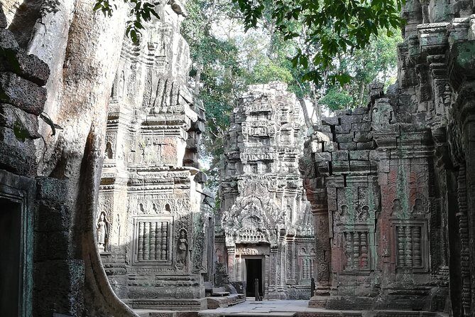 Half Day Angkor Wat Sunrise Private Tour - What’s Included (and What You Need to Bring)