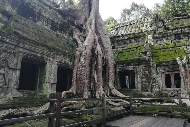 Half Day Angkor Wat Sunrise Private Tour - Ta Prohm at Opening Time: The “Jungle Temple” Feel