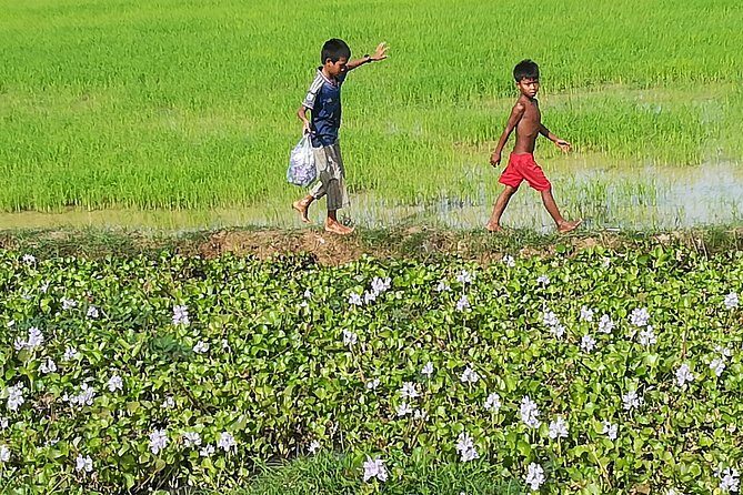 Half Day Floating Village ( Mechrey) & Tole Sap Tour - Rice, birds, and lotus-duck-fish farms: what each stop is really teaching