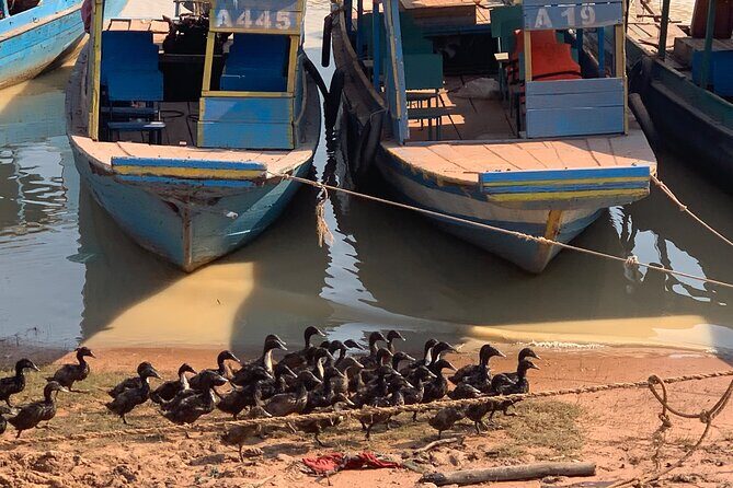 Half Day Floating Village ( Mechrey) & Tole Sap Tour - Who this tour is for (and who should choose something else)
