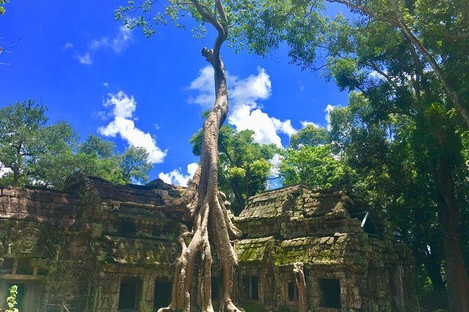Highlight of Angkor Complex 2 Days Private Tour - Should you book this 2-day private Angkor tour?