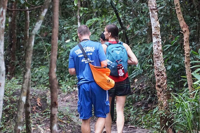 Jungle Trekking Tour at Phnom Kulen National Park from Siem Reap - Getting from Siem Reap: smooth pickup, real start