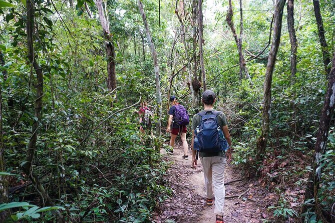 Jungle Trekking Tour at Phnom Kulen National Park from Siem Reap - Price and logistics: what you’re actually paying for