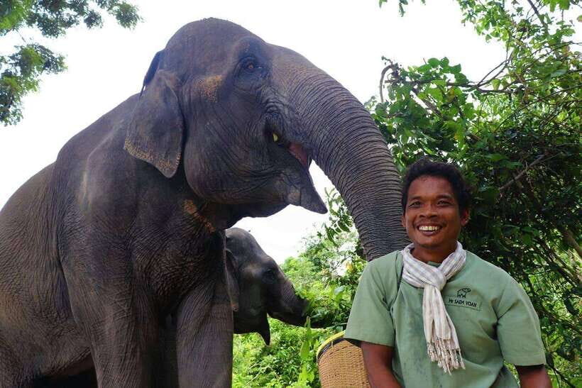 Kulen Elephant Forest Siem Reap in Small Group - Key highlights you’ll remember