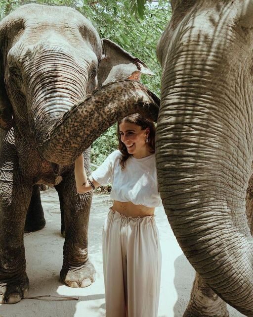 Kulen Elephant Forest Siem Reap in Small Group - Price and value: does $69 feel worth it?