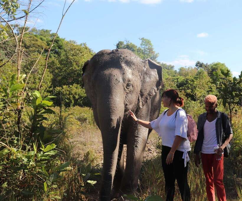 Kulen Mountain Day Trip with Picnic & Kulen Elephant Forest - Start in Siem Reap: 7:30 AM Pickup and Village Real Life