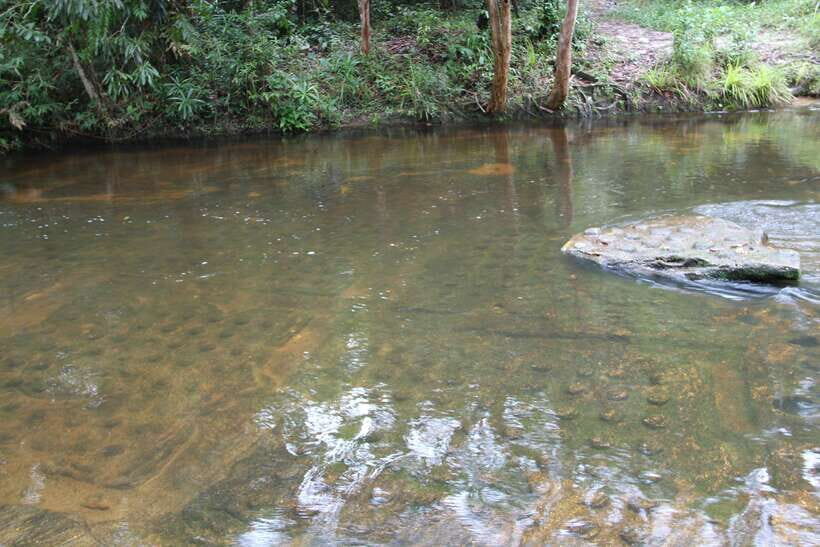 Kulen Mountain: Full-Day Private Waterfall Tour - Price and value: $175 for two, then add entrance fees