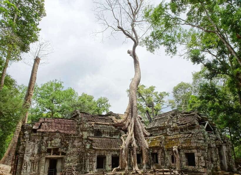 Luxury Private 2-Day Angkor Wat with English or German Guide - Price and value: what $181 actually buys you