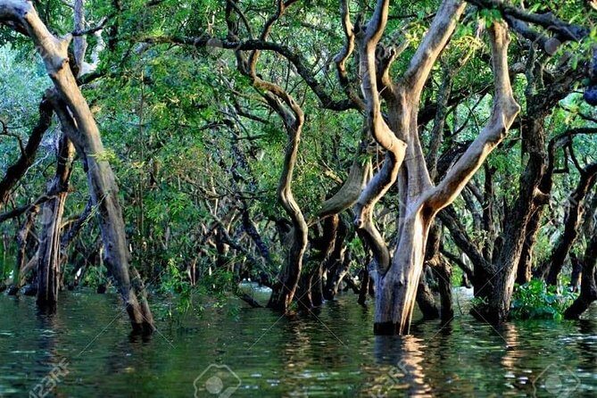 Mechrey Floating Village Tour & Mangrove from Siem Reap - English-led private guiding: Thy’s humor and Sythat’s safety focus