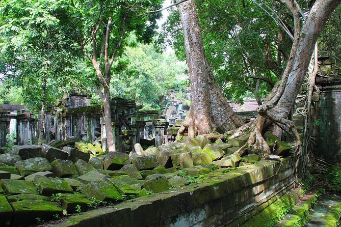 One day normal Angkor tour - Beating the heat at Angkor Wat (start around 7:30 AM)
