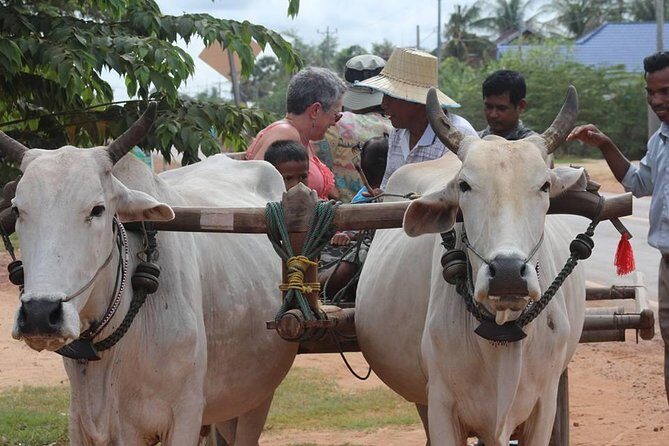 Ox-cart Culture Tour, Countryside Experince in Siem Reap - Key highlights at a glance