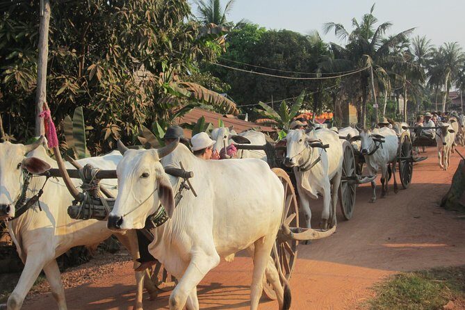 Ox-cart Culture Tour, Countryside Experince in Siem Reap - Why an Ox-Cart Ride Beats a Staged Countryside Day