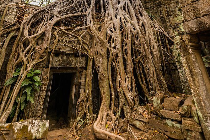 Personalised Angkor Wat Day Tour by an Air-conditioned Car - Private Angkor Wat routing beats the hassle