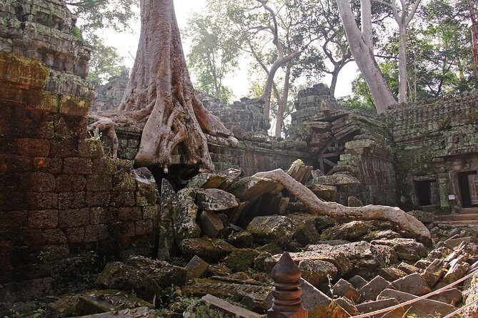 Personalised Angkor Wat Day Tour by an Air-conditioned Car - Bayon Temple: the faces, the towers, and the eye-level experience