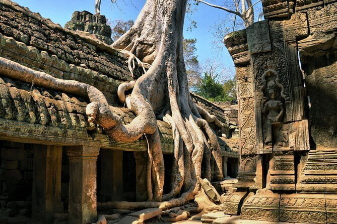 Personalised Angkor Wat Sunrise Off-the-Beaten Track Tour - Ta Prohm and the Tomb Raider connection: photos and atmosphere