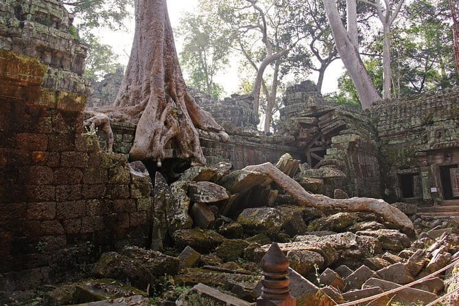 Personalised Angkor Wat Sunrise Off-the-Beaten Track Tour - Angkor Thom and Bayon: the south gate sprint and the smiling faces