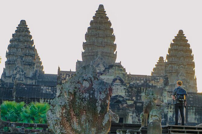 Personalised Angkor Wat Sunrise Tour by TukTuk - Ta Prohm: Why You’ll Want That One Hour