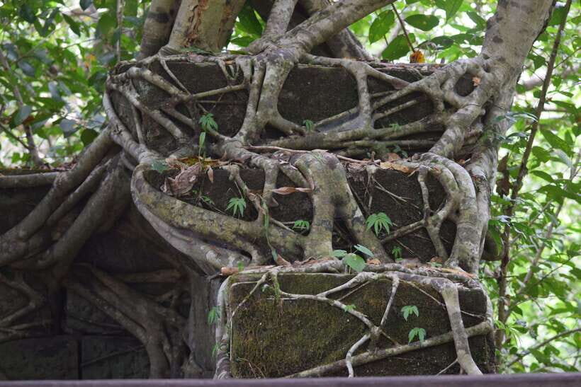 Prasat Thom, Koh Ker Group & Beng Mealea Full-Day Tour - Should you book this tour?
