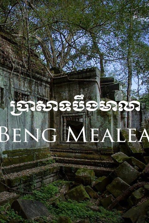 Preah Vihear, Koh Ker and Beng Mealea Private Day Tour - Who should book this tour, and who should skip it