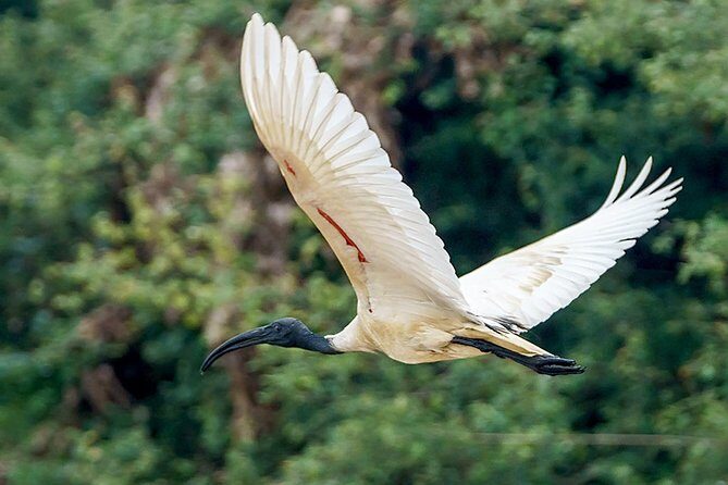 Prek Toal Birds Sanctuary and floating Village Private Day Tour - Price and what you’re actually paying for (around $170.05 pp)