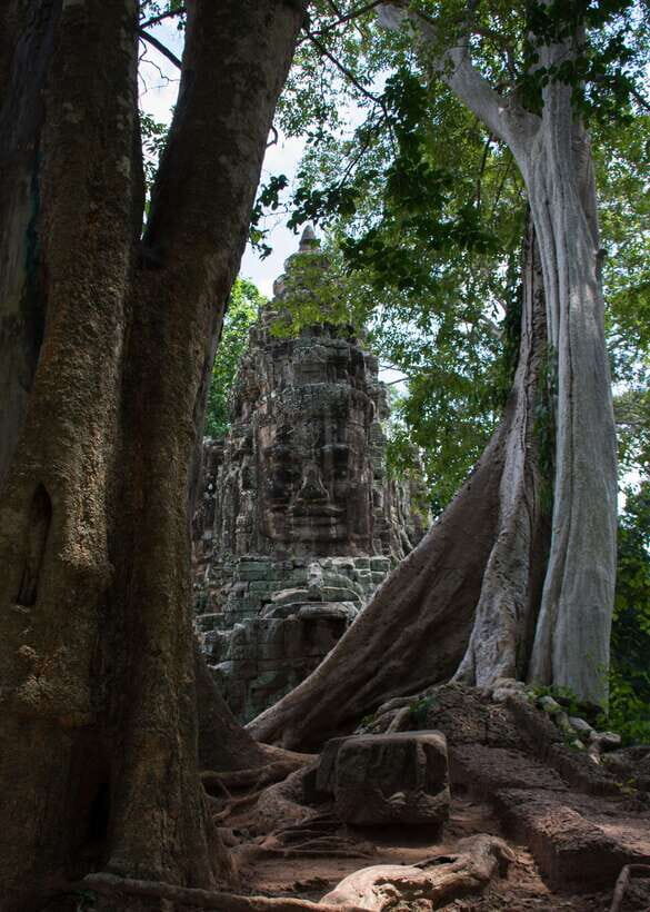 Private Angkor Wat Temple Tour - Key moments that make the day feel worth it