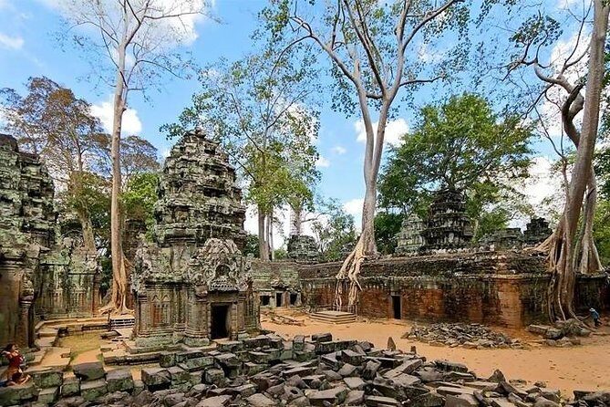 Private Angkor Wat Tour from Siem Reap - Ta Prohm Among Tree Roots (and the Movie Look)