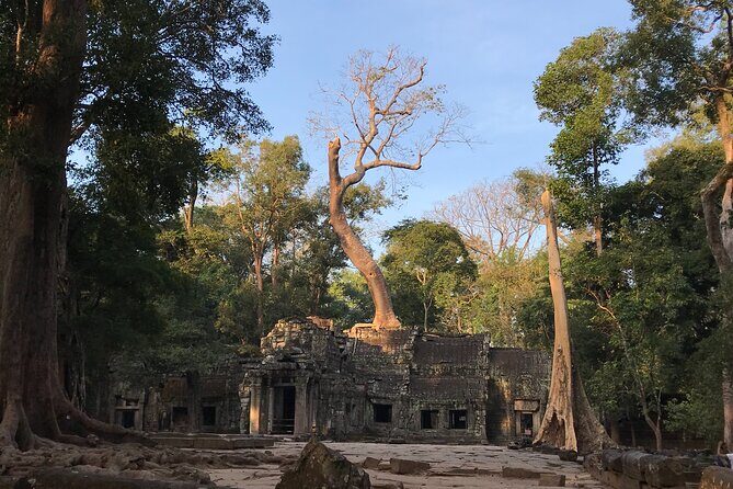 Private Guided Angkor Wat Tour by Lady Tuk Tuk with Monk Blessing - Value for your money: why $37 can make sense