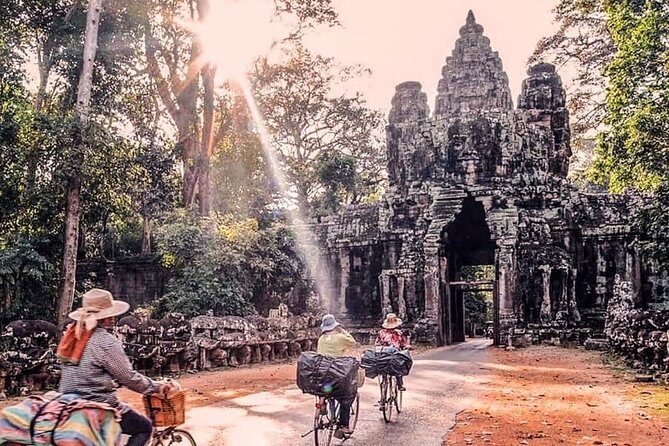 Private Guided Tours-Sunrise Angkor Wat, Ta Prohm, Bayon and more - Stop 2: Ta Prohm and the tree-in-temple look