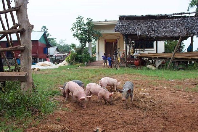 Private Ox Cart Ride and Local village Experience from Siem Reap - Your English-speaking guide: how explanations change the day
