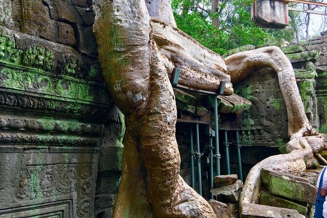 Private Siem Reap 4 Days: Full Exploration of the Angkor Complex - Price and value: what $375.06 per person gets you in the real world