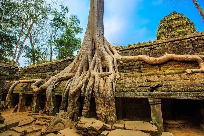 Private Siem Reap 4 Days: Full Exploration of the Angkor Complex - Day 1 in Siem Reap: airport welcome and settling into your hotel