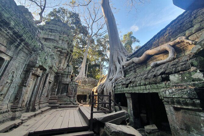 Private Sunrise and Sunset Angkor Park Tour with Rest Mid-Day - Afternoon Temples: Angkor Thom, Bayon, and the Main Gate Views
