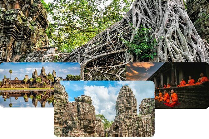 Private Sunrise & Angkor Complex by English Speaking Van Driver - Ta Prohm and the jungle-temple look: where time feels slower
