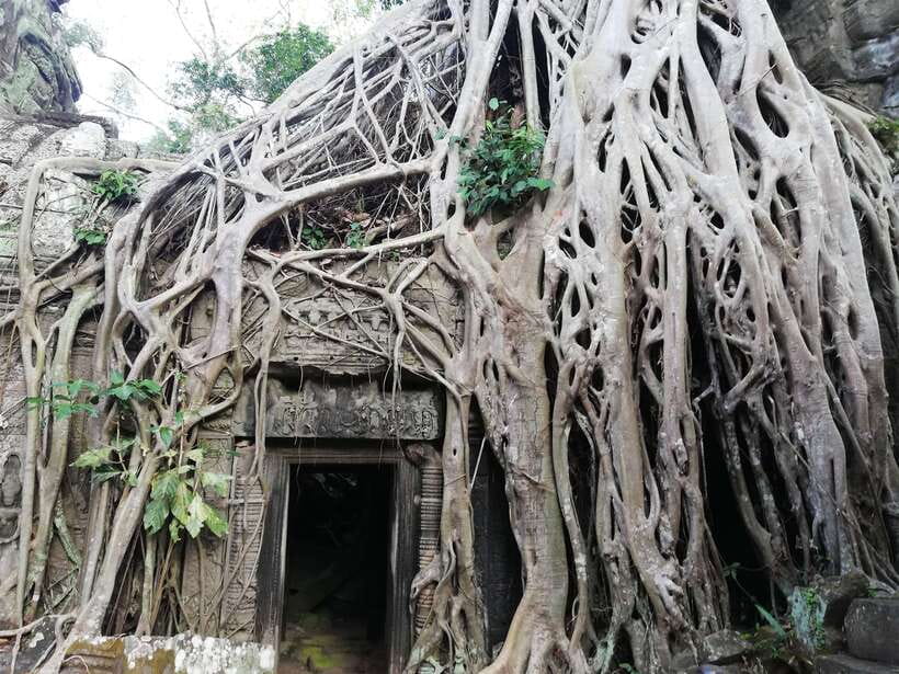 Private Sunrise Angkor Wat Tour - Why Angkor Wat sunrise feels different here