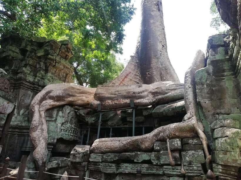 Private Sunrise Angkor Wat Tour - Is this the right tour for you?