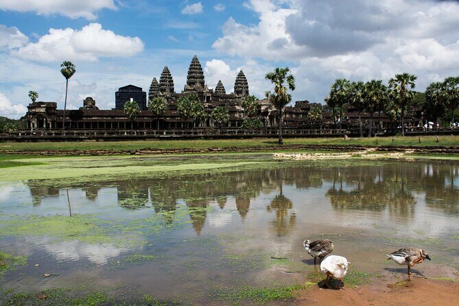 Private Sunrise Angkor Wat Tour with pickup from your hotel - Stop 2: Ta Prohm, the tree temple moment in about 1 hour