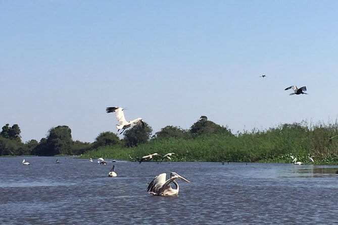 Private Tour Prek Toal Bird Sanctuary Off Beaten Track - Key Highlights You’ll Actually Care About