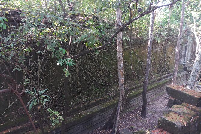 Private Tour to Beng Mealea Jungle Temple and Koh Ker - Village and market moments: why this tour feels more local than it sounds