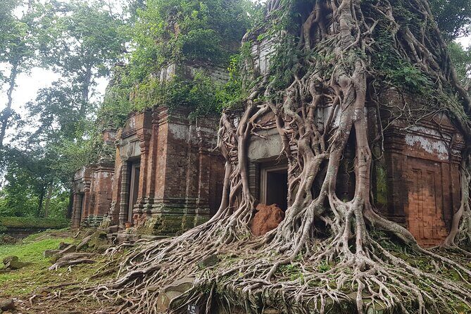 Private Tour to Beng Mealea Jungle Temple and Koh Ker - Who should book this day trip—and who might skip it