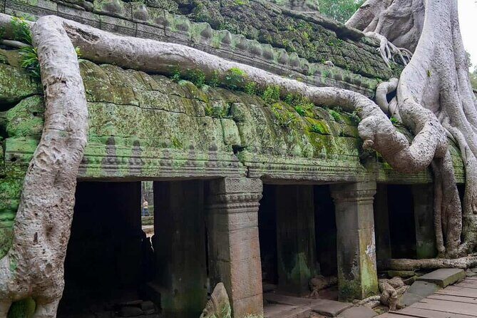 Private Tours Angkor Wat For 3 Days - Should You Book This Private 3-Day Angkor Wat Tour?
