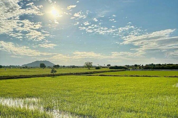 Rural Countryside Experience Tour in Siem Reap - Price and Logistics: Is $105 Good Value?