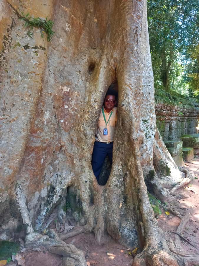 Shared day tour with Spanish-speaking guide at Angkor Temple. - South Gate into Angkor Thom: demons, gods, and the Naga causeway