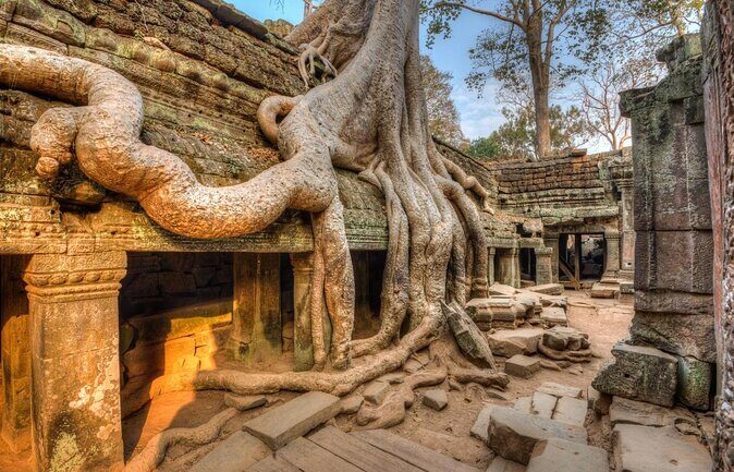 Shared Tour to Angkor Wat, Bayon and Ta Prohm Temples - Key things worth knowing before you go