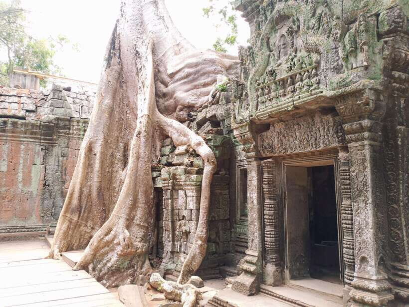 Sharing Trip to Angkor Temple with sunset - Price and logistics: what $19 really covers
