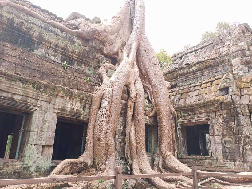 Sharing Trip to Angkor Temple with sunset - Phimeanakas: shaded jungle views and steep steps
