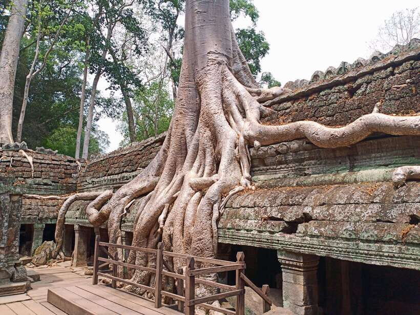 Sharing Trip to Angkor Temple with sunset - Angkor Wat: the national-flag icon and a guided history lesson