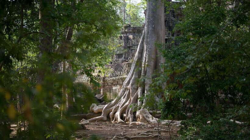 Siem Reap: Angkor Temples Off-Track Bicycle Tour - Key things I’d plan around