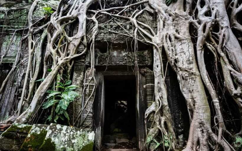 Siem Reap: Angkor Temples Tour - Shared Tours tours guide - Lunch and the smartest way to handle meals not included